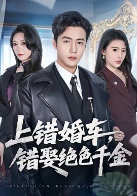 上错婚车，错娶绝色千金